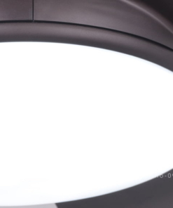 Quạt trần đèn TQ-8204-2