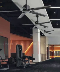 Quạt trần đèn TQ-8207-2