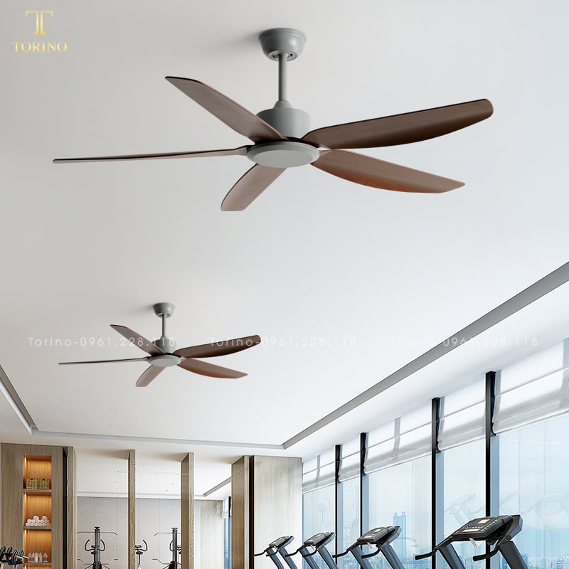 Quạt trần đèn TQ-8219-N 3 Quạt trần đèn TQ-8219-N