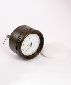 Quạt trần đèn Nhật Bản TQK-594