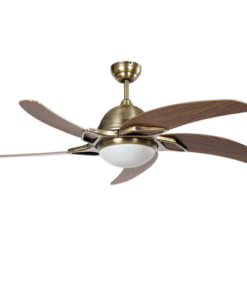 Quạt trần đèn Nhật Bản TQK-4054