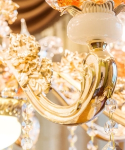Đèn chùm trang trí TCT-6604-8